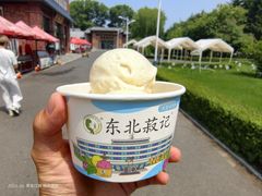 -东北农业大学饺子园