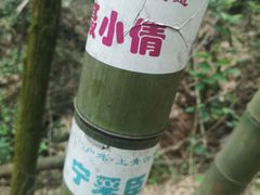 -会稽山峡洞漂流-上青古道