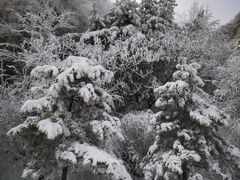 -秦岭终南山世界地质公园翠华山景区