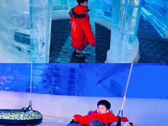 -顺德南宏海立方海洋公园