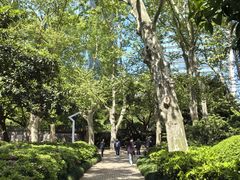 -静安公园(静安寺街道)