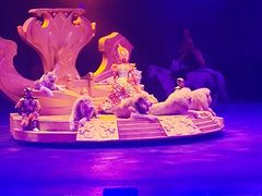 -广州长隆国际大马戏