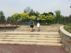-东郊湿地公园