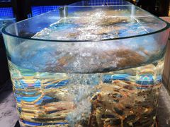 -徐记海鲜(观沙岭|滨江新城店)