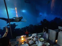 -海棠湾洲际-涛·海底餐厅·美人鱼·自助餐·海底隧道