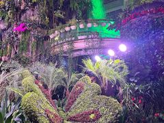 -正佳雨林生态植物园