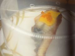 -争鲜回转寿司(浦东三钢里PLUS店)