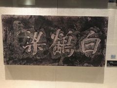 -白鹤梁水下博物馆