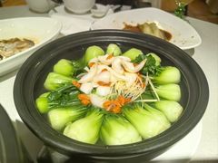 -圆苑(兴国路店)