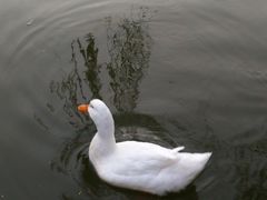 -西昌卫星发射中心