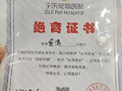 -子乐宠物医院