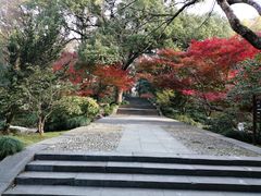 -杭百味·大众精选杭帮菜(西湖音乐喷泉店)