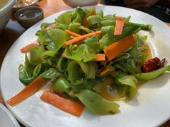 八角瓜-腾冲国萍农家乐