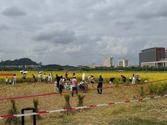 -光明小镇欢乐田园