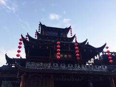 -印象鲵宴·张家界地标美食名片(溪布街店)