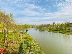 -上海长兴岛郊野公园