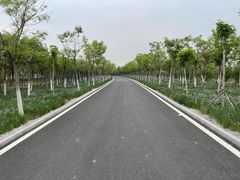 -天津东丽湖风景区