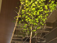 -东园小馆·早茶·淮扬小炒(印象汇店)