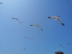 -那香海钻石沙滩浴场