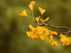 -共青国家森林公园-售票处