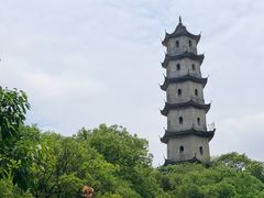 -江心屿景区