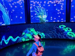 -沈阳海洋探索中心