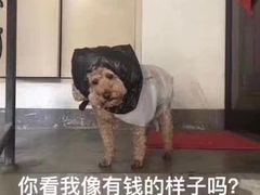-万达广场(松江店)