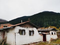 -四川郎木寺