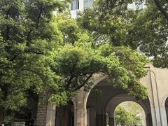 -武汉大学-樱园