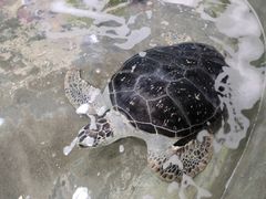 -嘉兴海底世界