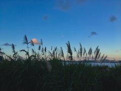-沈家门渔港