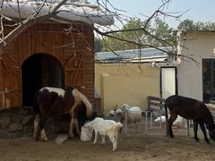 -HERRE·FARM 赫尔露营农场·团建聚会包场