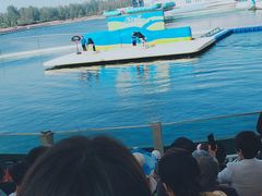 -秦皇岛乐岛海洋王国