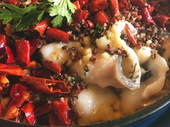 麻辣沸腾鱼-竹里馆·淮扬菜·功夫茶(老门东店)