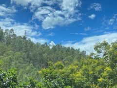 -番禺大夫山森林公园