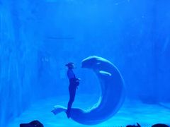 -多彩贵州城极地海洋世界