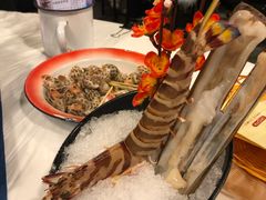 -鲜入围煮花胶鸡海鲜火锅