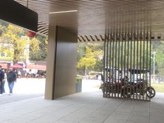 -千年银杏谷文化旅游区
