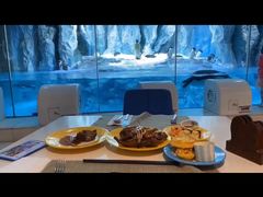 -帝企鹅自助餐厅•儿童岛•真企鹅(长隆企鹅酒店)