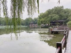 -西湖游船