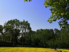 -北坞公园