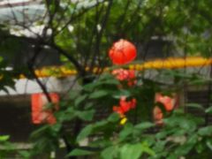 -素清香(解放路店)