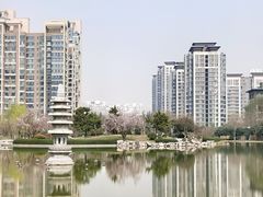 -木塔寺遗址生态公园