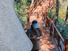 -大岭沟猕猴桃谷风景区