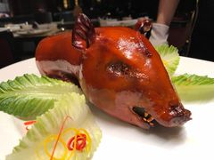 -8餐厅(新葡京酒店)