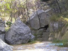 -鲁山国家森林公园