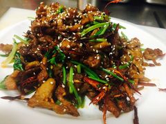 -Restaurante Nordest 东北人家