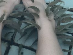 -江门古兜温泉小镇