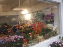 -Gigi Florist·Dk Coffee