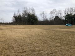 -金谷域澳洲庄园